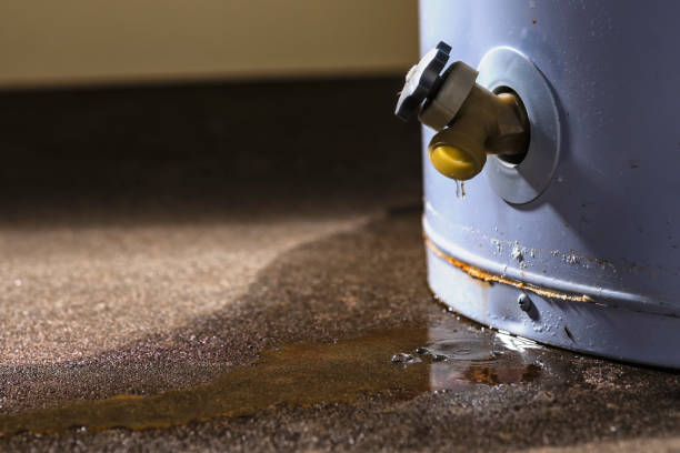 Best Fire Damage Restoration  in Landisville, PA