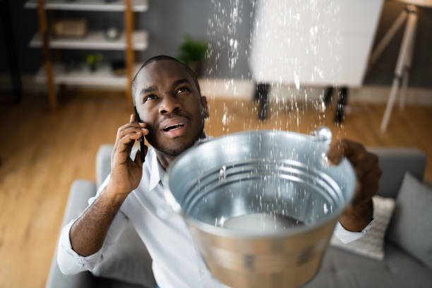 Best Flood damage cleanup  in Landisville, PA