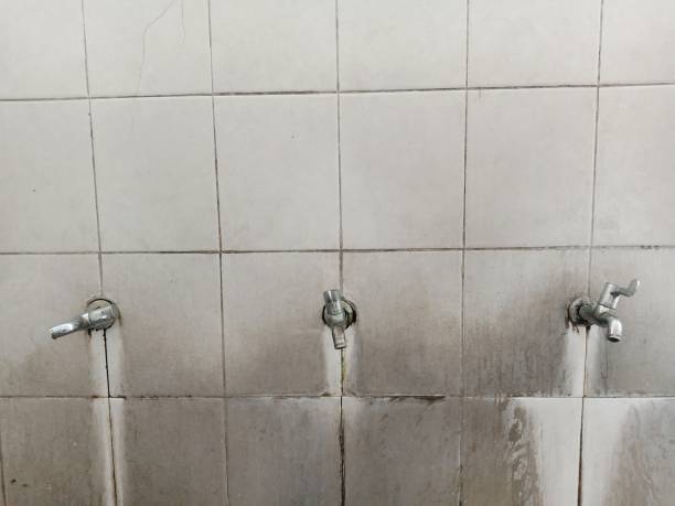 Best Water damage contractors near me  in Landisville, PA