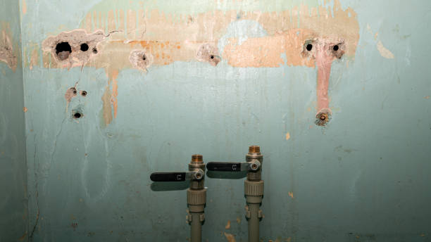 Best Flood damage cleanup  in Landisville, PA
